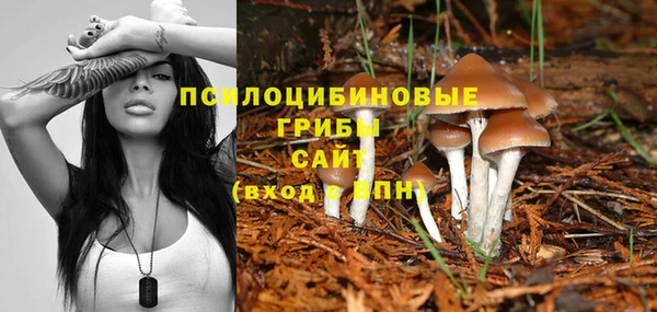 хмурый Волосово