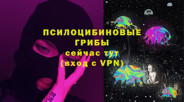 крисы Чекалин
